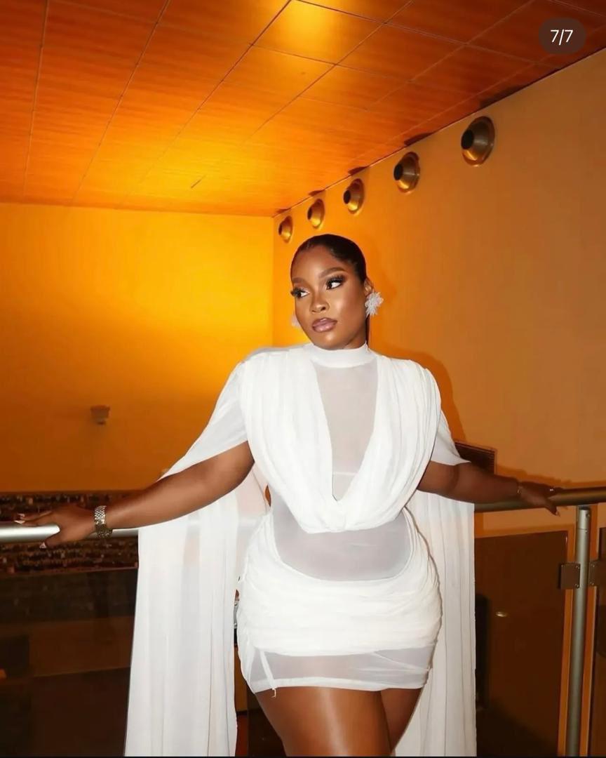 The Alf Boutique - Sheer Mini Dress