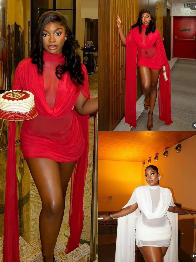 The Alf Boutique - Sheer Mini Dress