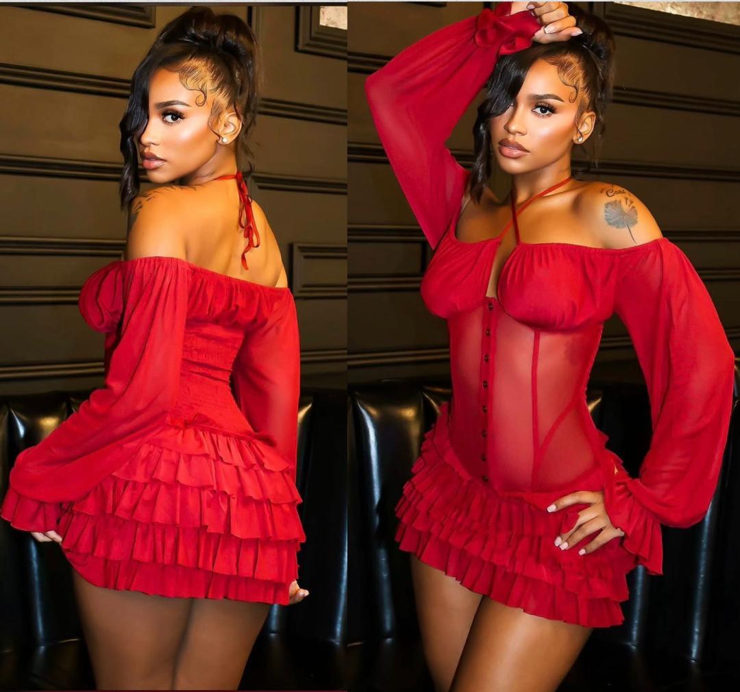 The Alf Boutique - Sheer Ruffled Mini Dress