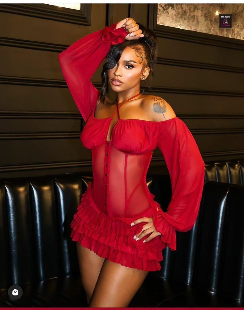 The Alf Boutique - Sheer Ruffled Mini Dress
